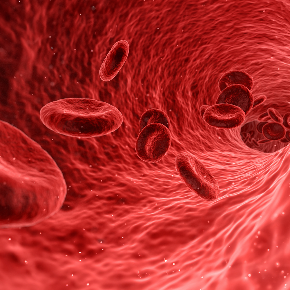 Deciphering the Scientific Foundations and Advancements in Red Light Therapy with the Red Light Therapy Module